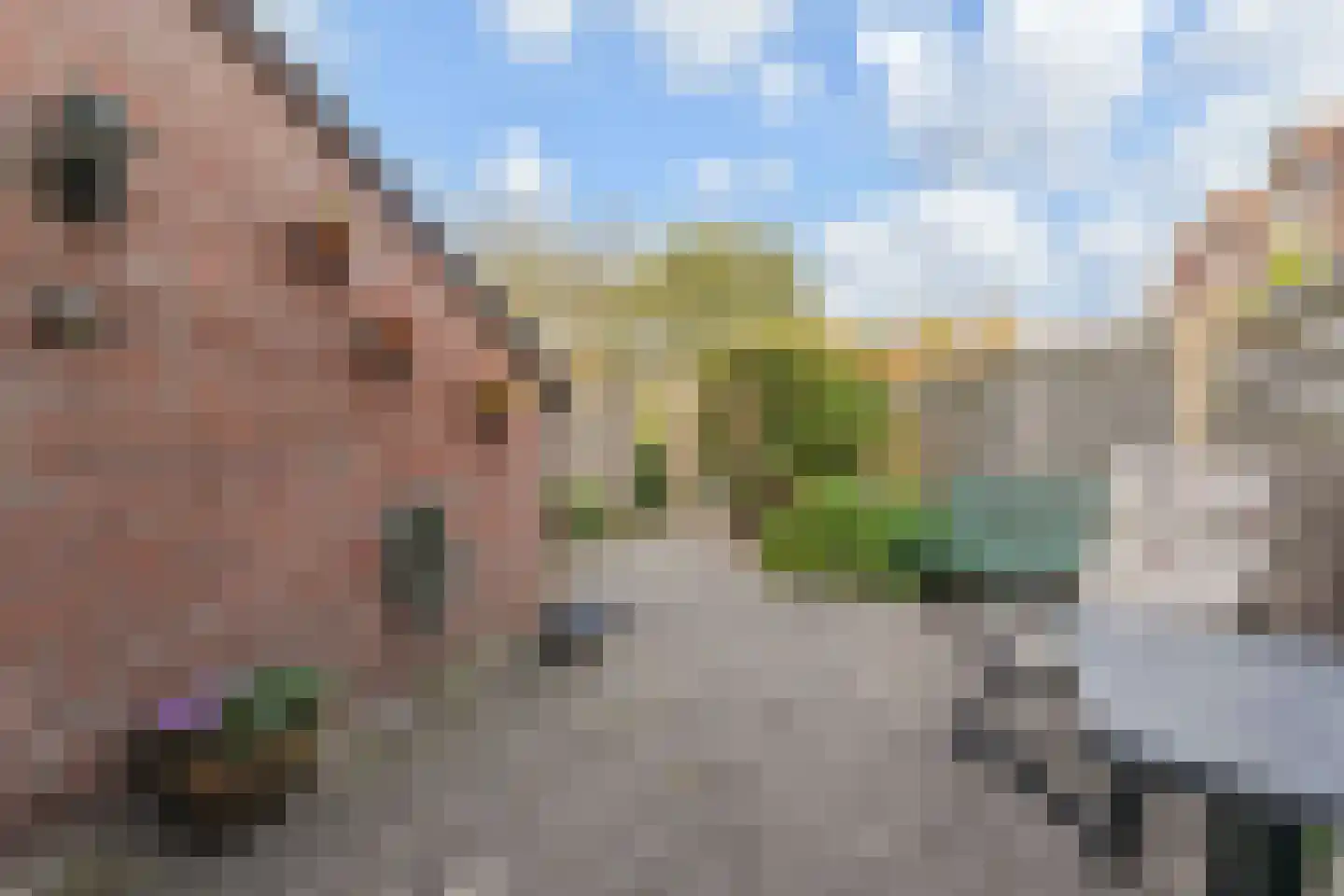 Weteringdreef 181 Zoetermeer thumbnail 4