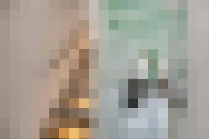 Weteringdreef 2 Zoetermeer thumbnail 11