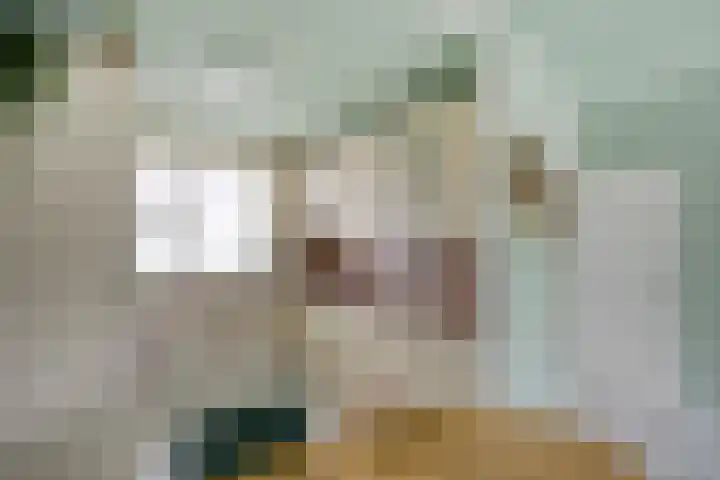 Weteringdreef 2 Zoetermeer thumbnail 16