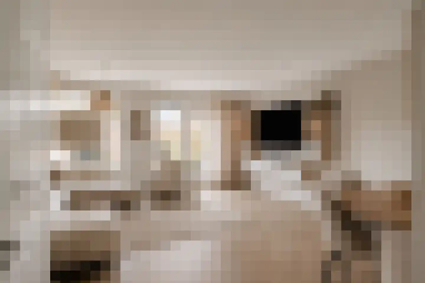 Weteringdreef 2 Zoetermeer thumbnail 16