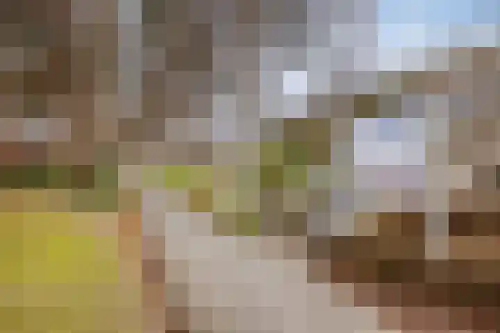 Weteringdreef 2 Zoetermeer thumbnail 44