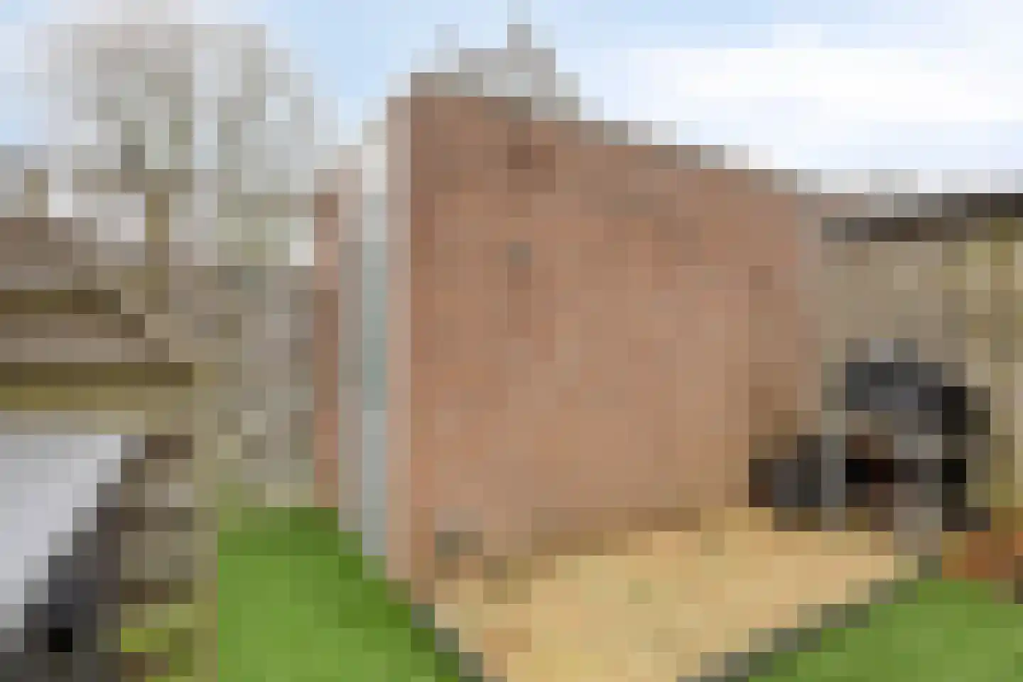 Weteringdreef 2 Zoetermeer thumbnail 46