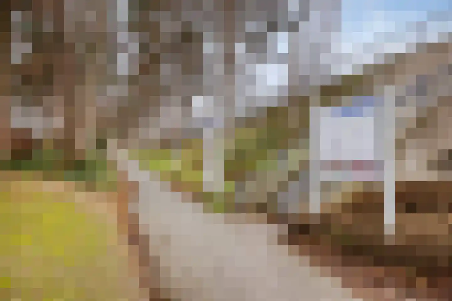 Weteringdreef 2 Zoetermeer thumbnail 49