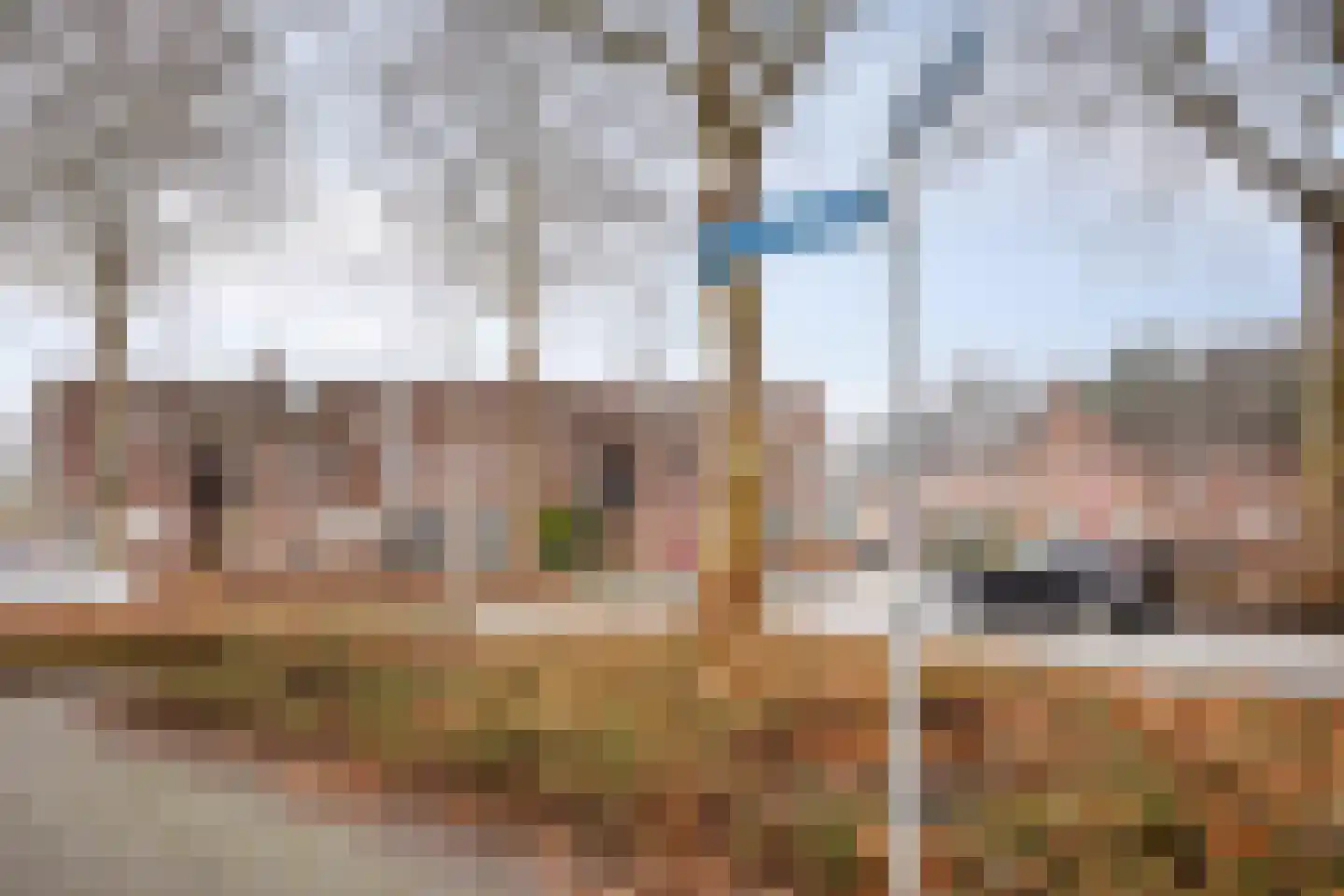 Weteringdreef 2 Zoetermeer thumbnail 52