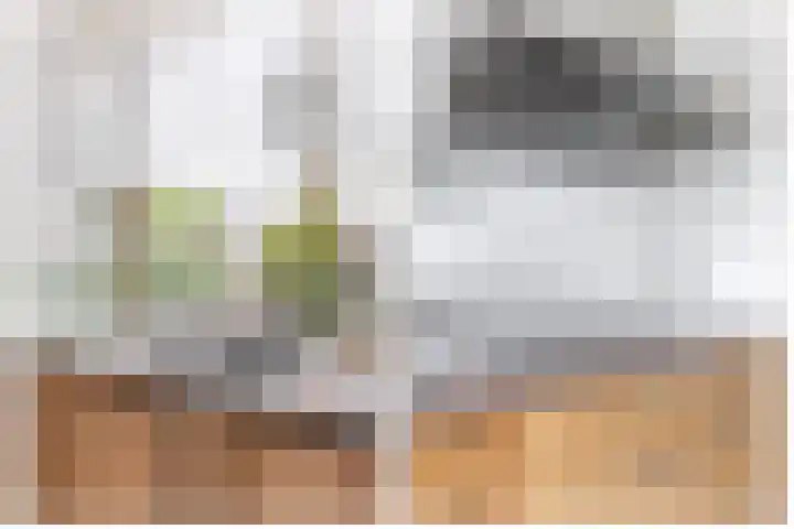 Weteringdreef 46 Zoetermeer thumbnail 12