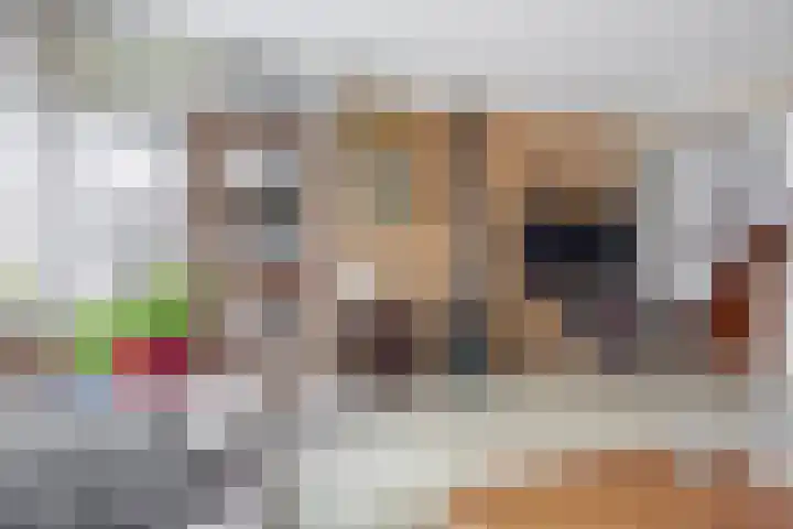 Weteringdreef 46 Zoetermeer thumbnail 18