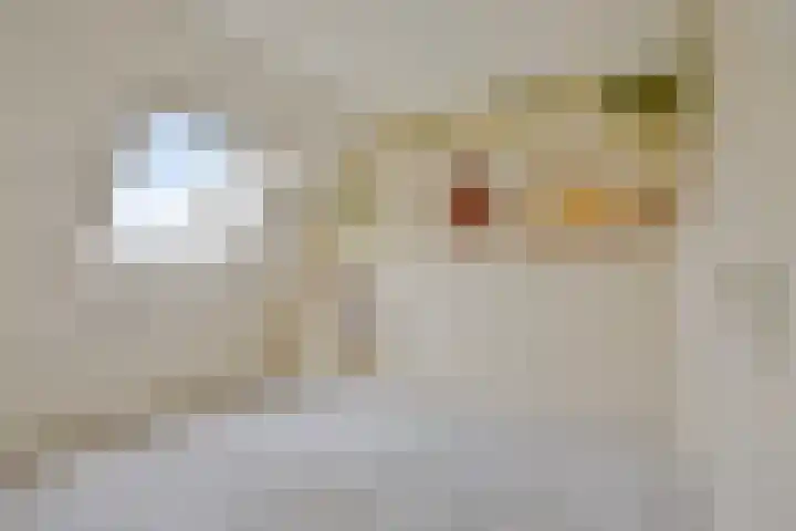 Weteringdreef 8 Zoetermeer thumbnail 18