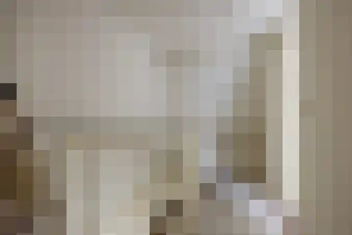Weteringdreef 8 Zoetermeer thumbnail 25