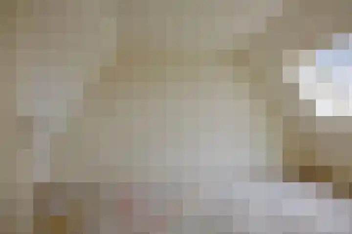 Weteringdreef 8 Zoetermeer thumbnail 26