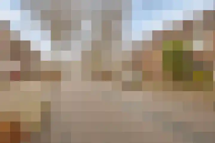 Weteringdreef 8 Zoetermeer thumbnail 34