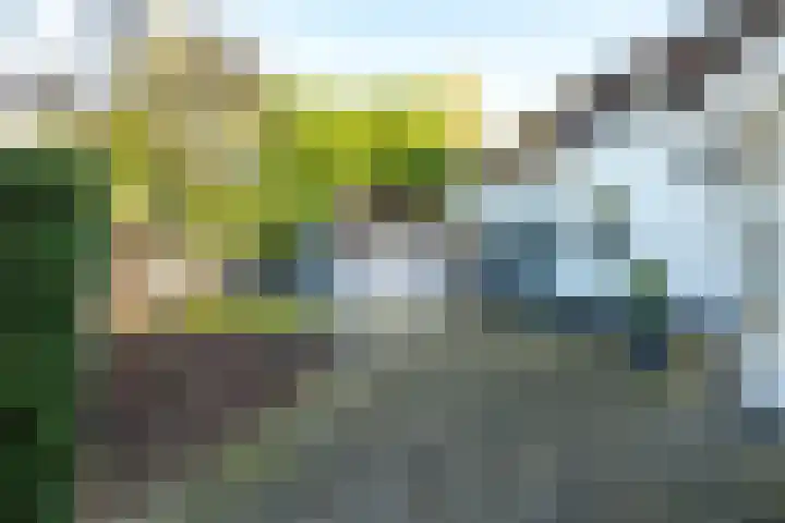 Weteringhout 4 Houten thumbnail 21