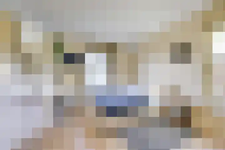 Weteringhout 4 Houten thumbnail 27