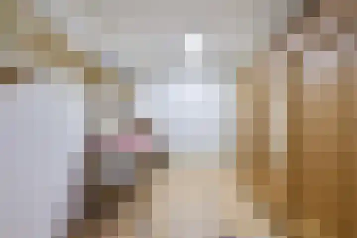 Weteringhout 4 Houten thumbnail 35