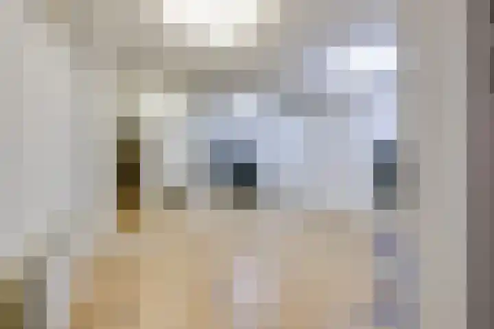 Weteringhout 4 Houten thumbnail 37