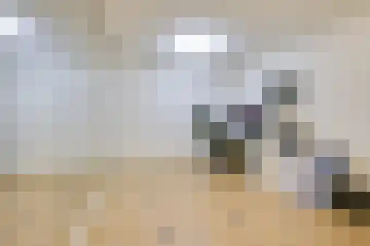 Weteringhout 4 Houten thumbnail 38