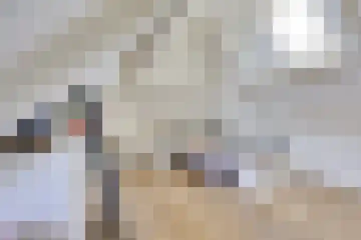Weteringhout 4 Houten thumbnail 42