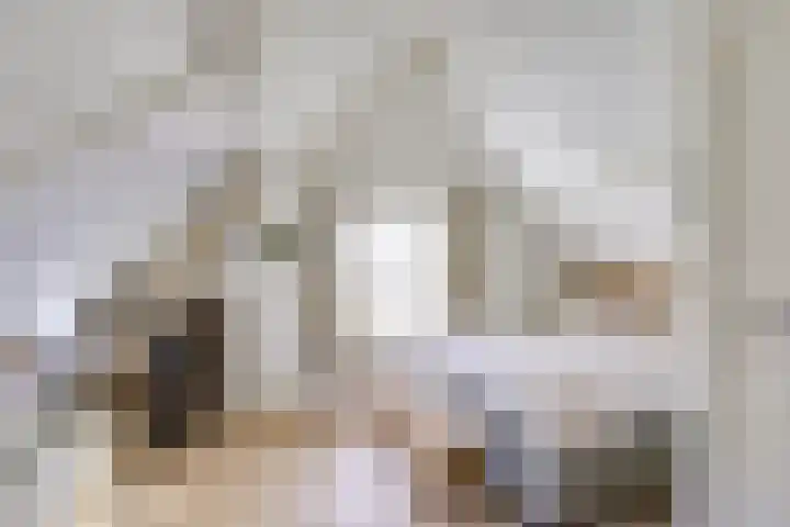 Weteringhout 4 Houten thumbnail 56