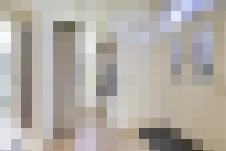 Weteringhout 4 Houten thumbnail 6