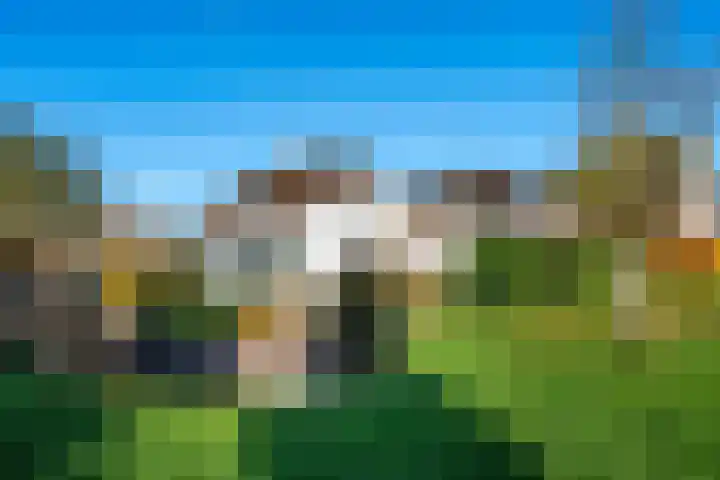 Weteringhout 4 Houten thumbnail 61