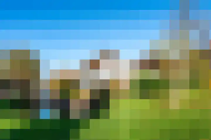 Weteringhout 4 Houten thumbnail 62