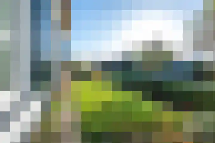 Weteringhout 4 Houten thumbnail 69