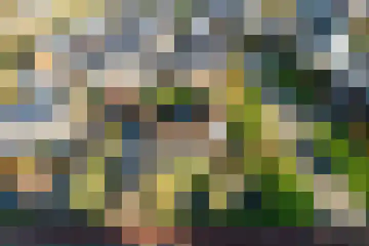Weteringhout 4 Houten thumbnail 72