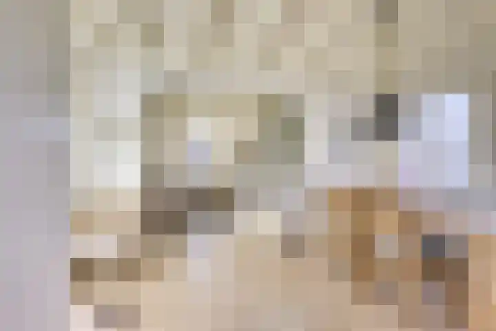 Weteringhout 4 Houten thumbnail 8
