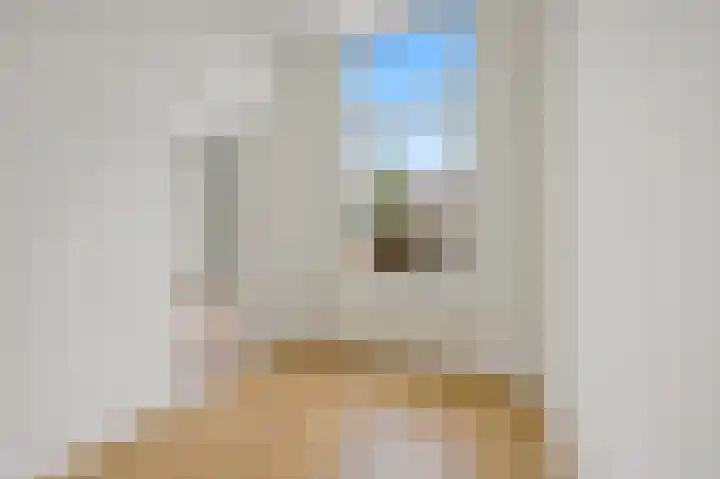 Weteringkade 101 Den Haag thumbnail 20