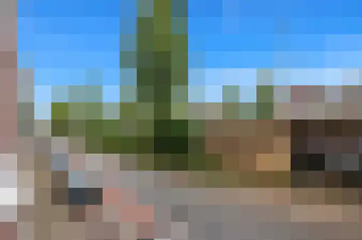 Weteringkade 101 Den Haag thumbnail 22