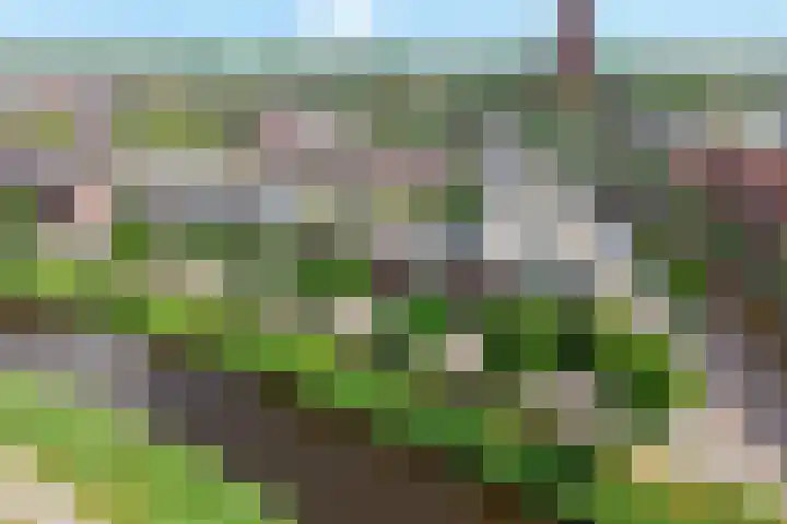 Weteringkade 102 Amersfoort thumbnail 41