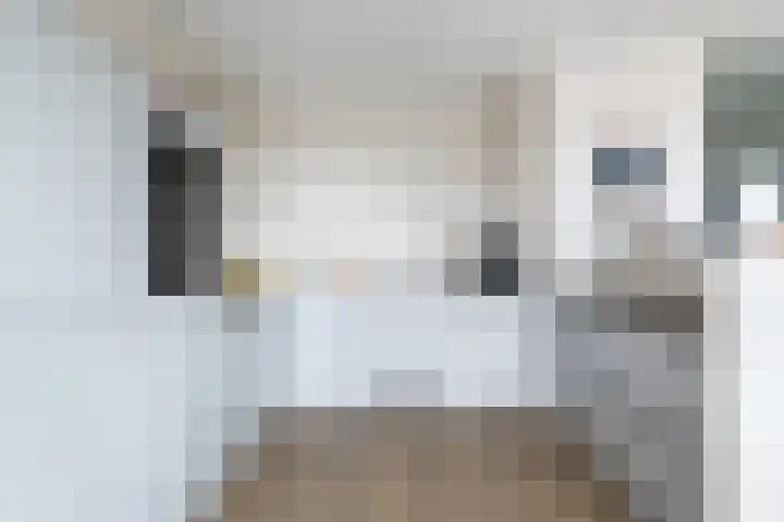 Weteringkade 11 Amersfoort thumbnail 14