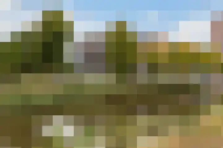 Weteringkade 11 Amersfoort thumbnail 27