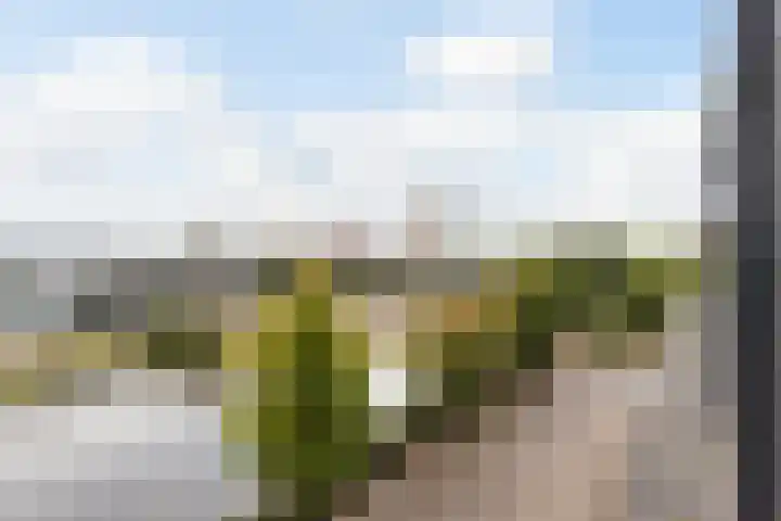 Weteringkade 11 Amersfoort thumbnail 29