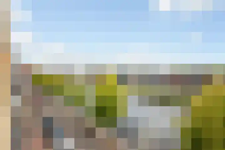 Weteringkade 11 Amersfoort thumbnail 31