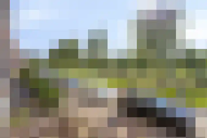 Weteringkade 112 Amersfoort thumbnail 19