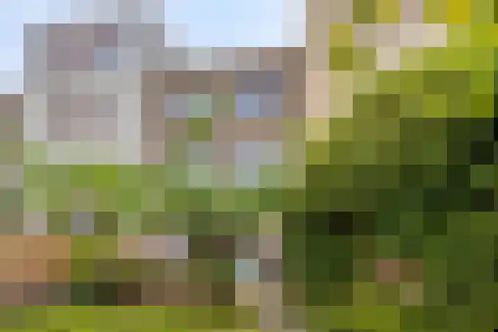 Weteringkade 112 Amersfoort thumbnail 33