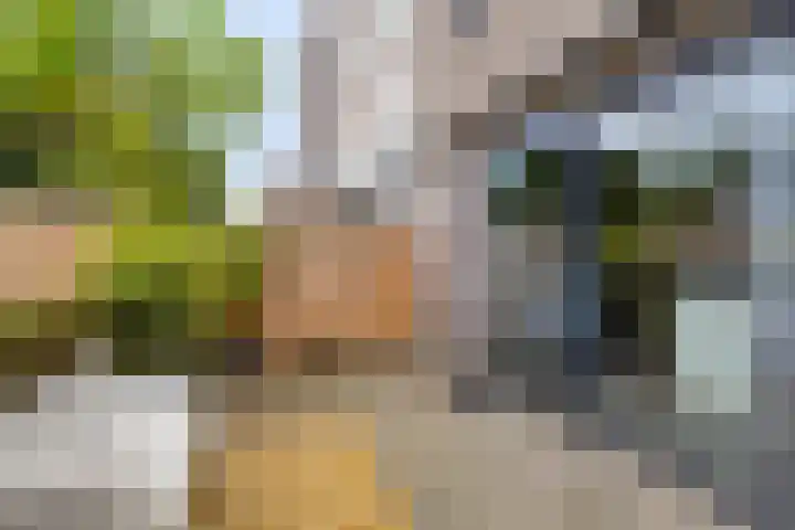Weteringkade 112 Amersfoort thumbnail 34