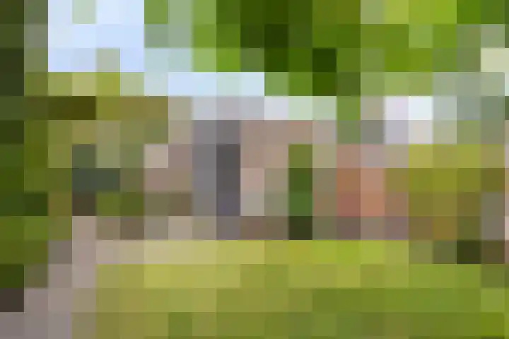 Weteringkade 112 Amersfoort thumbnail 35