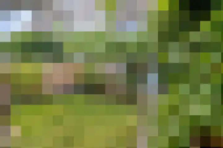 Weteringkade 112 Amersfoort thumbnail 36