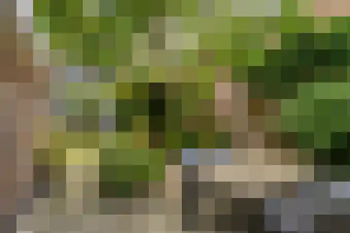 Weteringkade 112 Amersfoort thumbnail 37