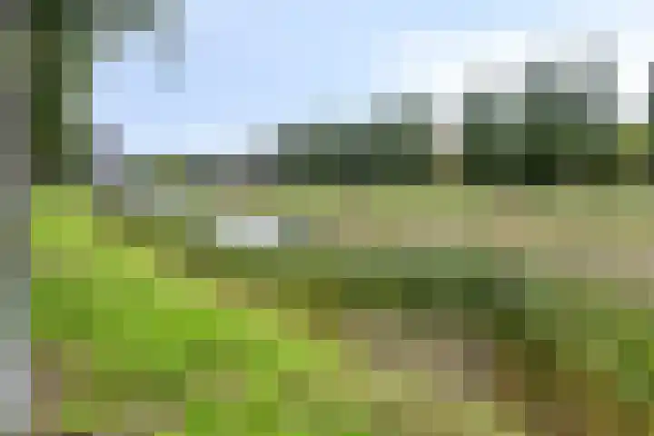 Weteringkade 112 Amersfoort thumbnail 41