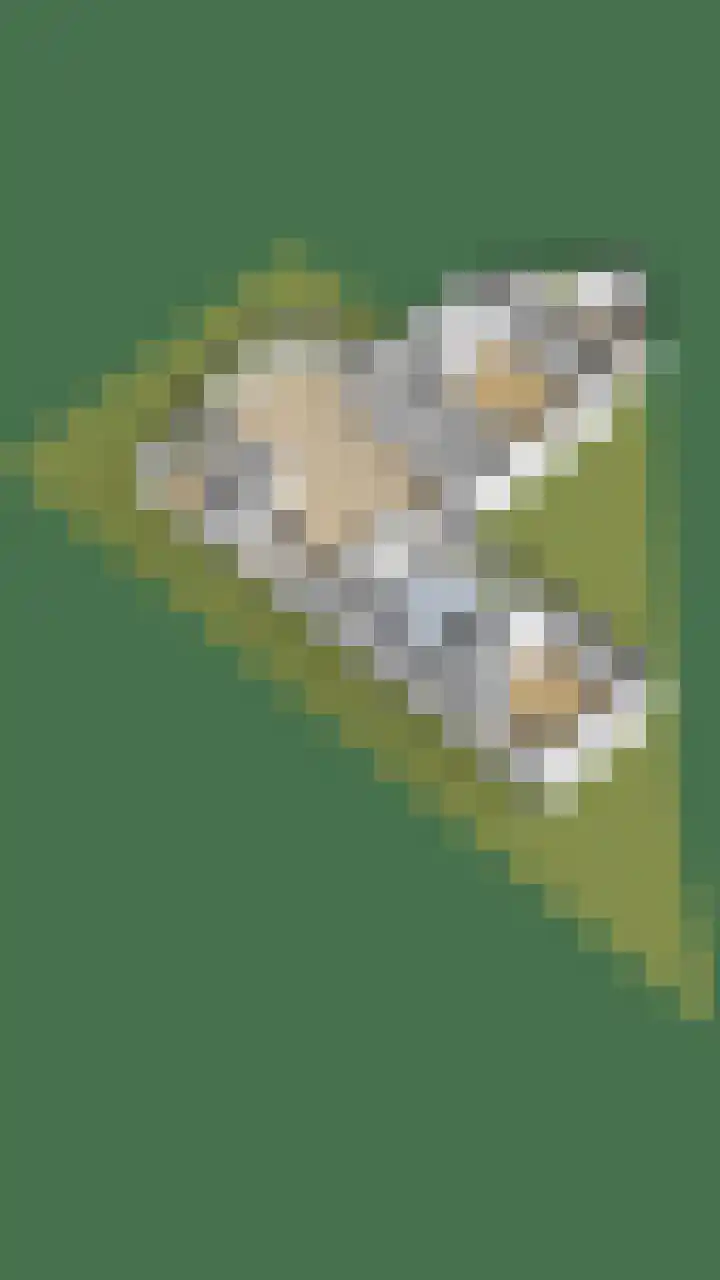 Weteringkade 12 Noordwijk thumbnail 39