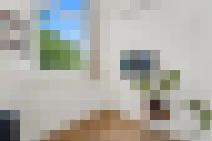 Weteringkade 126 B Den Haag thumbnail 4