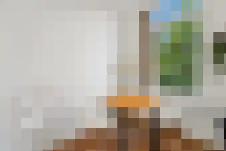 Weteringkade 126 B Den Haag thumbnail 8