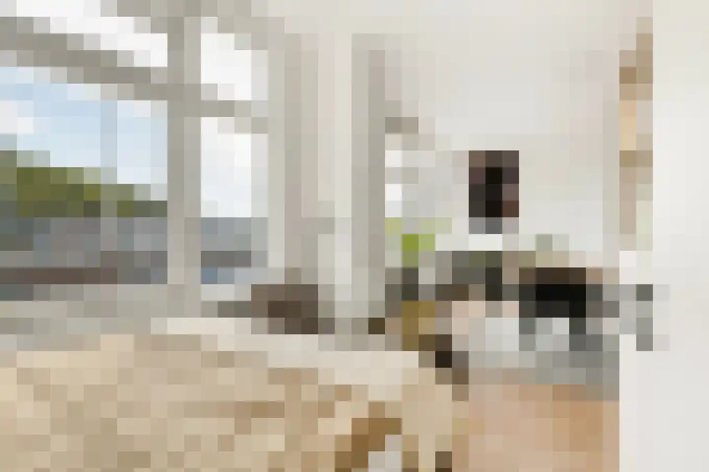 Weteringkade 126 Den Haag thumbnail 11