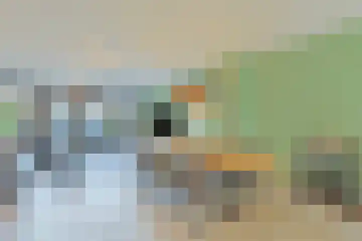 Weteringkade 129 Amersfoort thumbnail 8