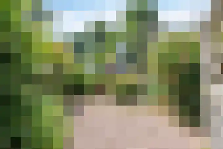 Weteringkade 14 Noordwijk thumbnail 25