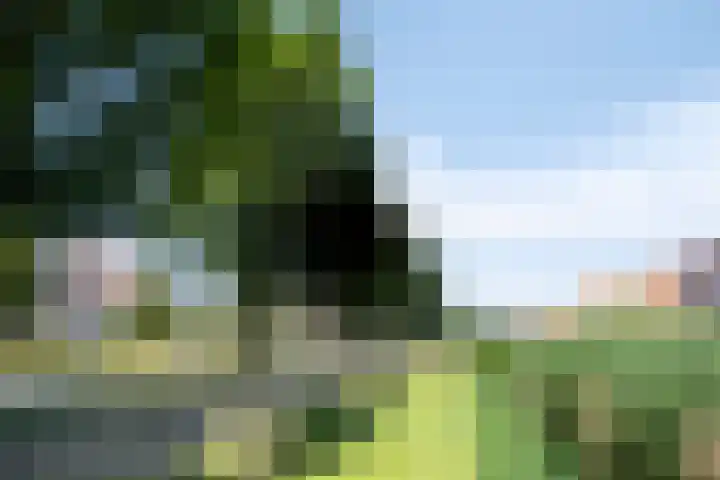 Weteringkade 14 Noordwijk thumbnail 31