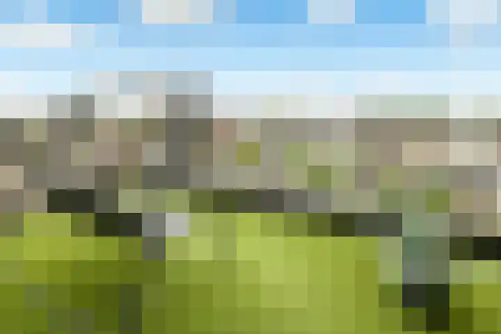 Weteringkade 140 Amersfoort thumbnail 28