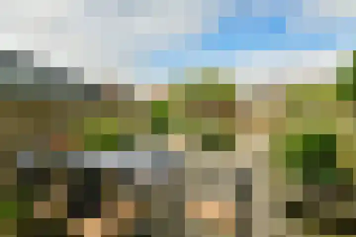 Weteringkade 140 Amersfoort thumbnail 31